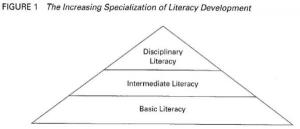 The increasing specialisation of Literacy Development