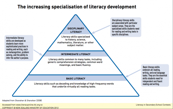 The increasing specialisation of literacy development