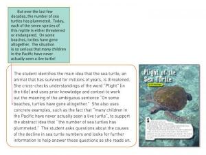 Yr5_Plight of the sea turtle_Lightbox-1