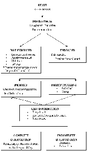 Referrals process diagram. 
