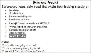 Skim and Predict