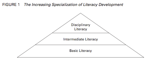 The increasing specialisation of literacy development diagram