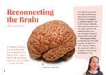 Reconnecting brain.