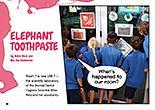 Elephant Toothpaste book cover.