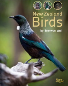 New Zealand birds cover image.
