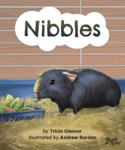 Nibbles book cover.